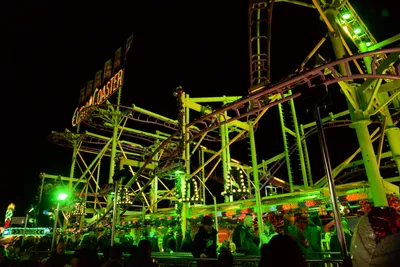 DSC_6110 (Large).JPG